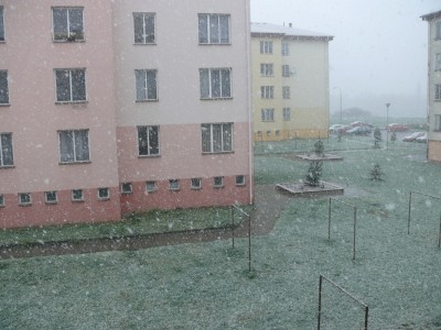 P1000948.jpg