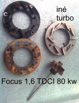 lopatky-focus.jpg