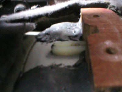 P1010021.JPG