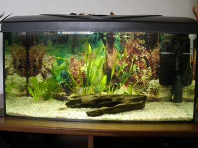 P4281089 – kopie.JPG