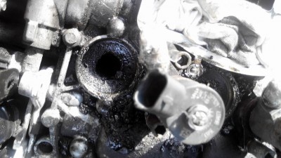 Resize of IMG_20140817_173102.jpg