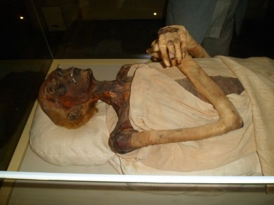 SAM_0140.JPG