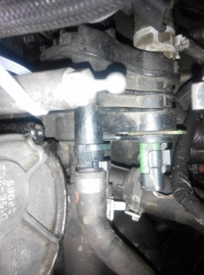 IMG_20141026_120301 (475x640).jpg