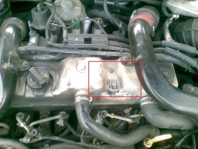 Obraz004.jpg