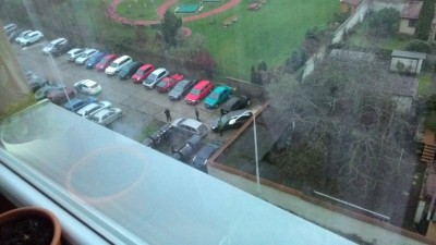 P_20161123_073555.jpg