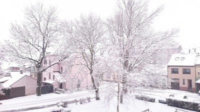 DSC_0061u.jpg (62.19 KiB) Zobrazeno 1375 x Zasněžené ráno