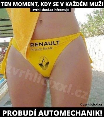 renault.jpg