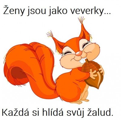 zalud.jpg