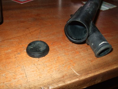 DSCF1455.jpg
