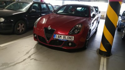 alfa.jpg