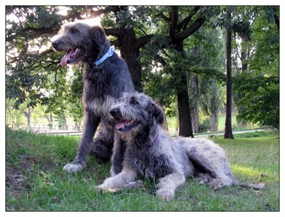 Ardík a Many - noví kamarádi.