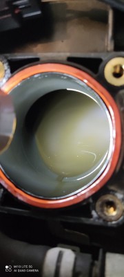 1617117080143.jpg