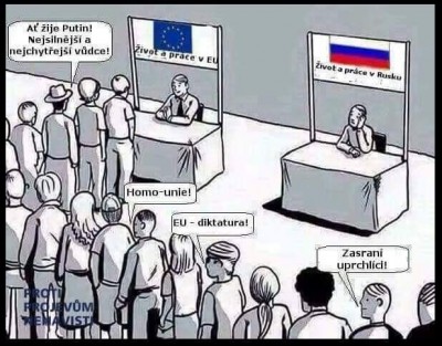 dezole.jpg