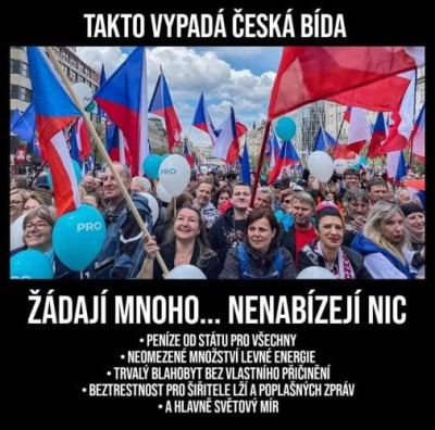 ceska bida.jpeg