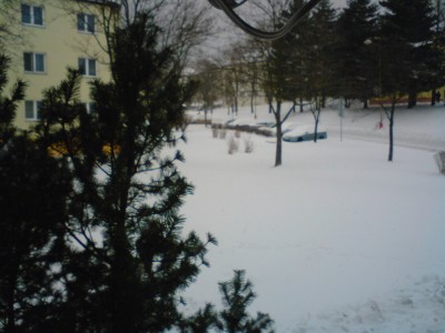 DSC00086.JPG