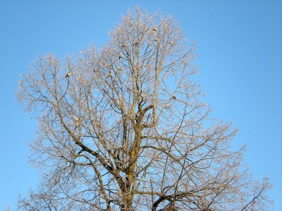 PC301991.JPG