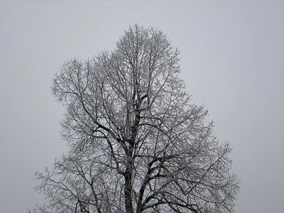 PC311993.JPG