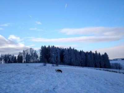 P1072015.JPG