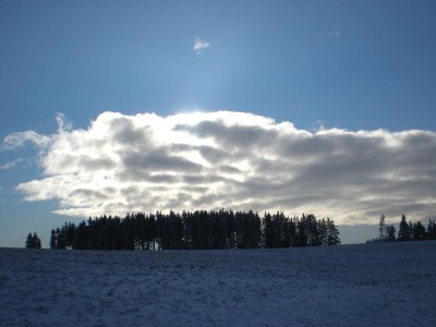 P1072016.JPG