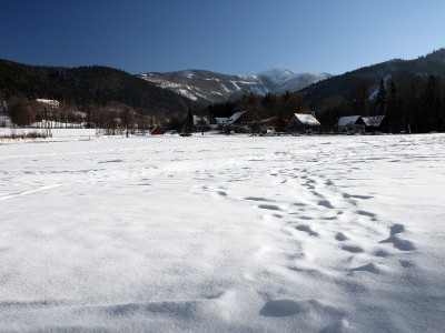 IMG_3880.JPG