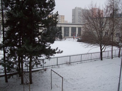 100_3099.jpg