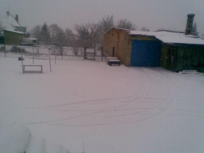 raní pohled na zahradu