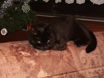 wixi,ta už je u nás nějakej ten pátek...