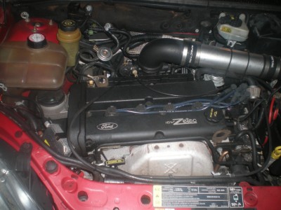 DSCN1431-web.jpg