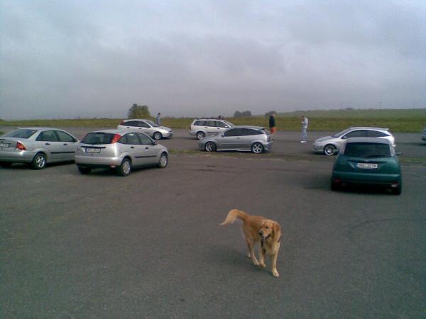 Hafo stribrnejch a jeden zlatej