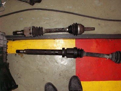PICT0071.JPG