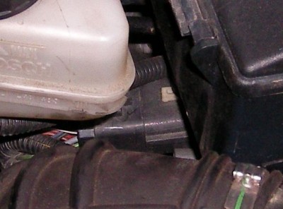 SANY0004.JPG