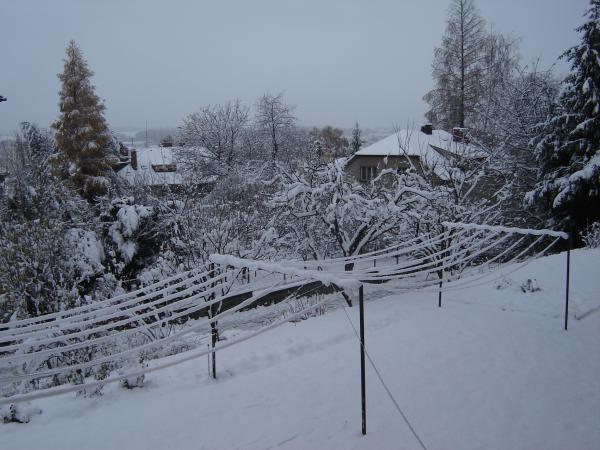DSC03630.JPG