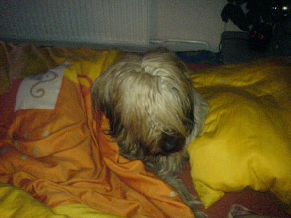 A jeste jednou Ziki.