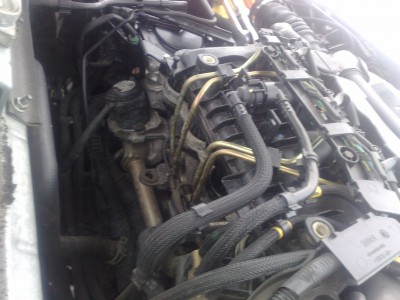 tu vidno aky je k nemu krasny pristup