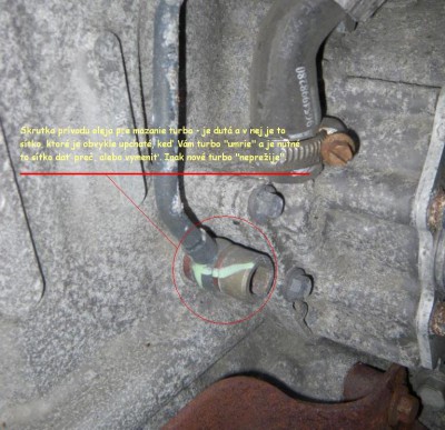 Detail skrutky - volajú sa tzv. &quot;banjo&quot; skrutky - v tejto je to sítko...