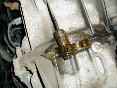 auto 001.jpg