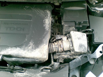 12042010-001.jpg