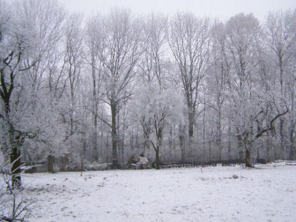 PC200003.JPG