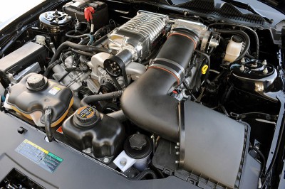fomu71_4bd820402cf51.jpg