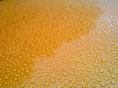 02082010003.JPG