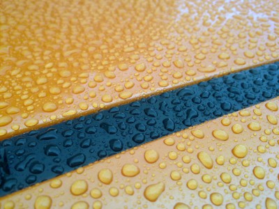 02082010004.JPG