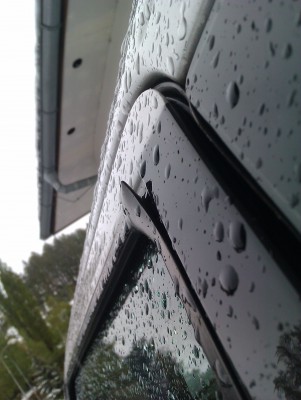 IMAG0560.jpg